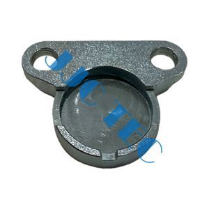 PIUG/ГРЯЗЯЗАЩИТА ДЛЯ ЗАЩЕЛКИ КЛАПАНА BX-1V, номер OEM: 50003967, используется для ЛИФТА